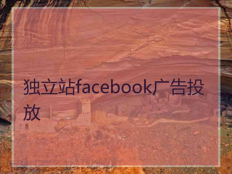 独立站facebook广告投放