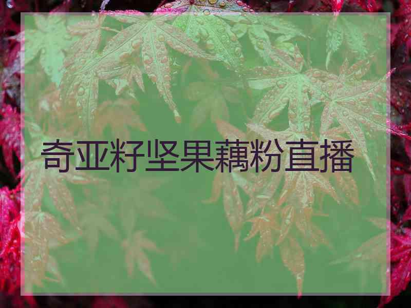 奇亚籽坚果藕粉直播