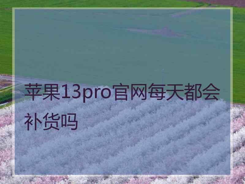 苹果13pro官网每天都会补货吗