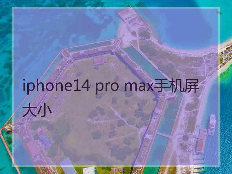 iphone14 pro max手机屏大小