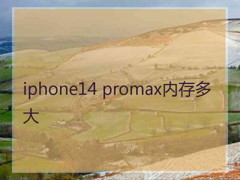 iphone14 promax内存多大