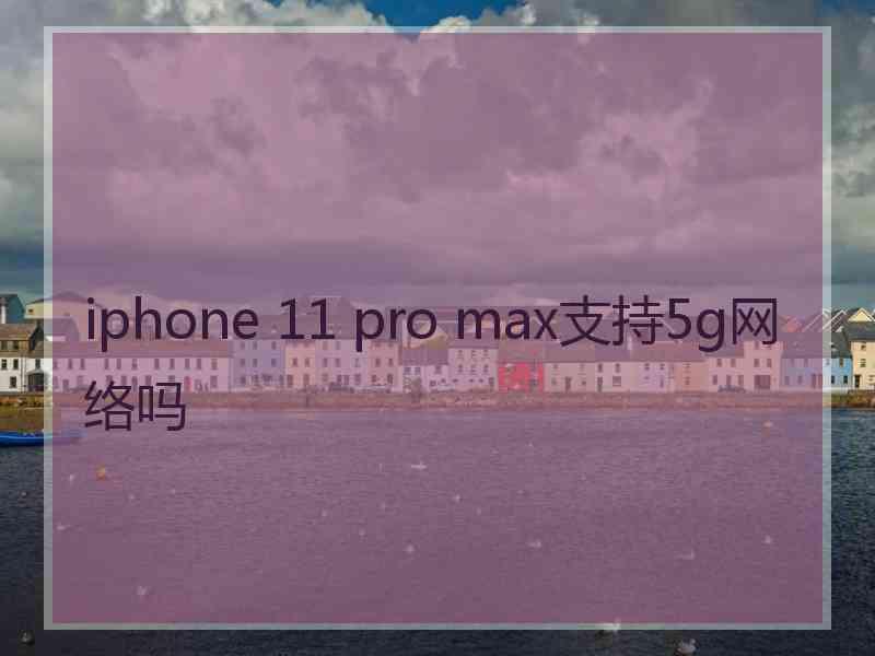 iphone 11 pro max支持5g网络吗