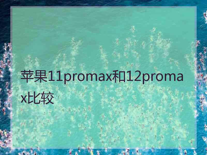 苹果11promax和12promax比较