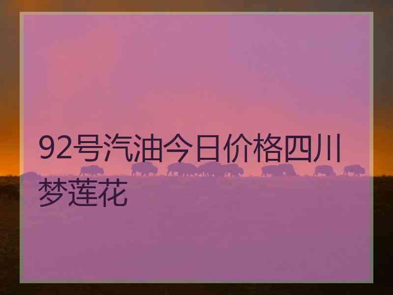 92号汽油今日价格四川梦莲花