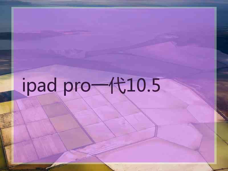 ipad pro一代10.5