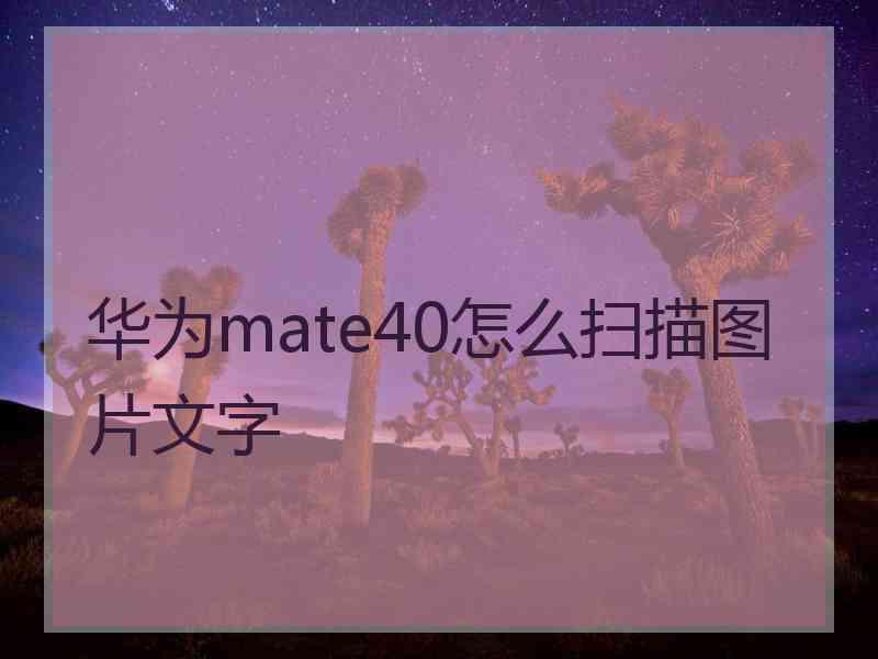 华为mate40怎么扫描图片文字