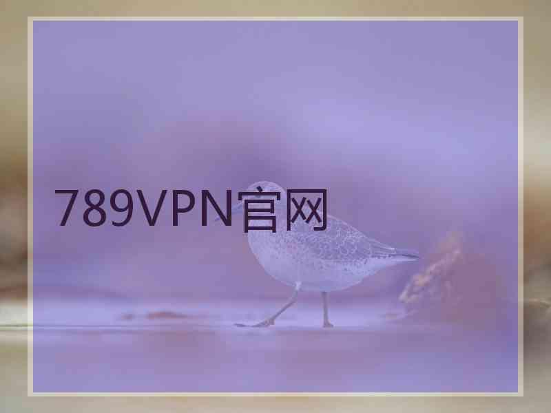 789VPN官网