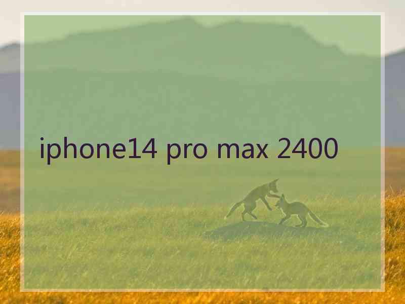 iphone14 pro max 2400