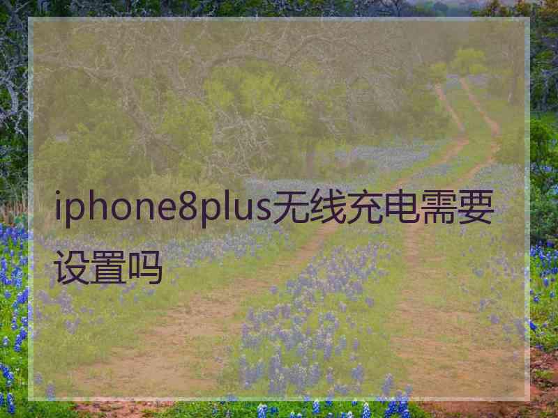 iphone8plus无线充电需要设置吗