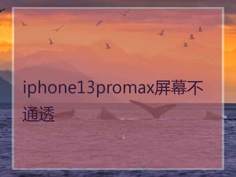 iphone13promax屏幕不通透