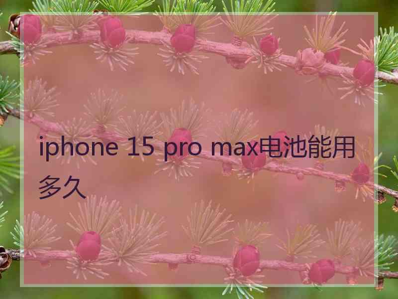 iphone 15 pro max电池能用多久