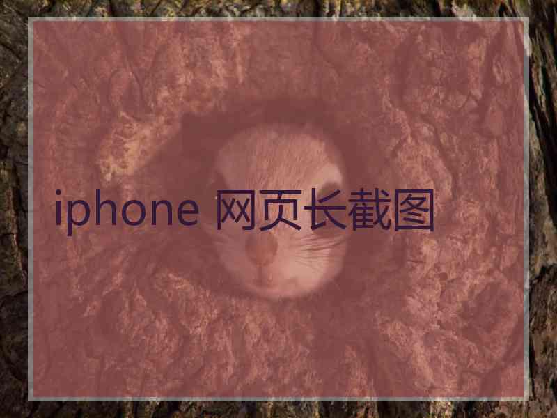 iphone 网页长截图