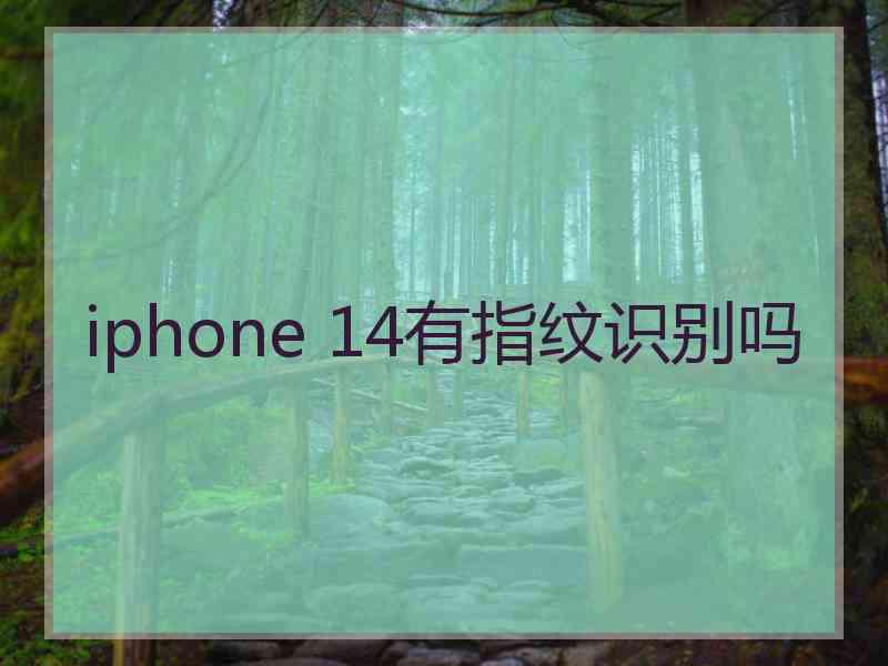 iphone 14有指纹识别吗