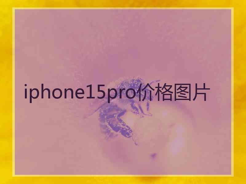 iphone15pro价格图片