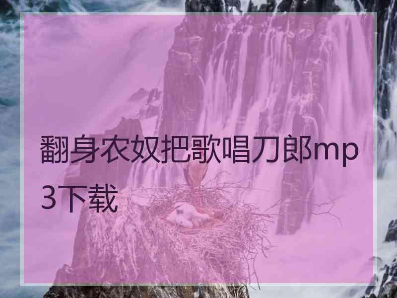 翻身农奴把歌唱刀郎mp3下载