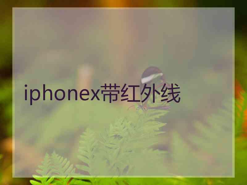 iphonex带红外线