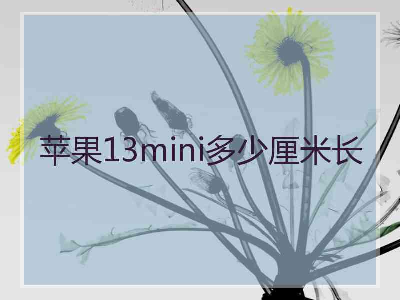 苹果13mini多少厘米长