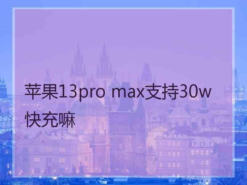 苹果13pro max支持30w快充嘛