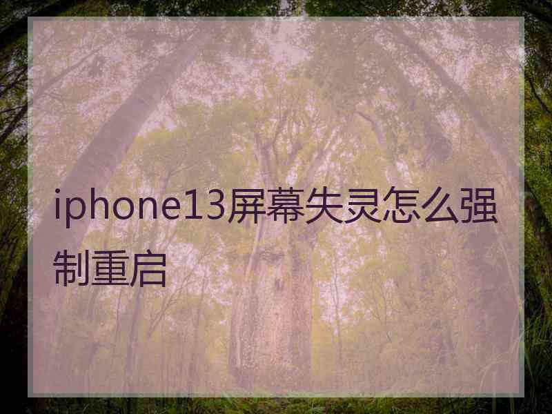 iphone13屏幕失灵怎么强制重启