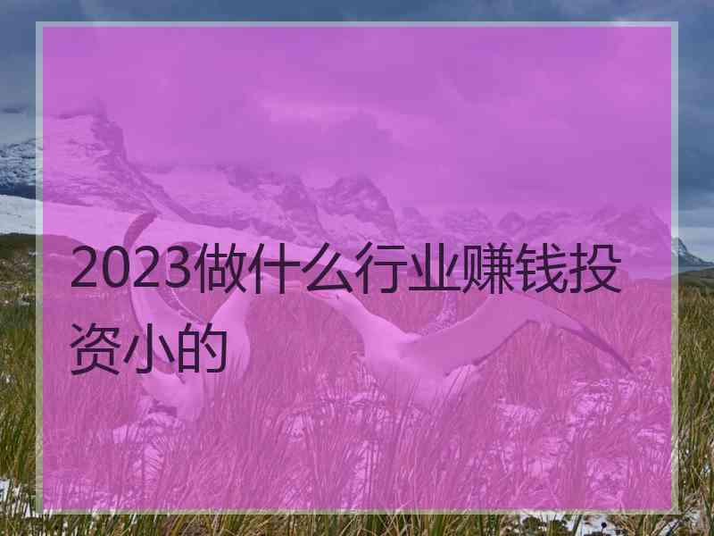 2023做什么行业赚钱投资小的