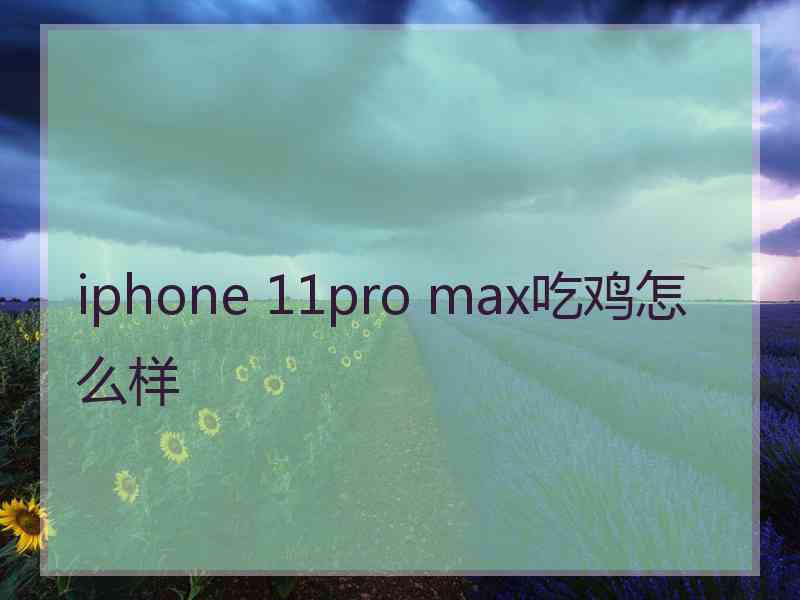 iphone 11pro max吃鸡怎么样