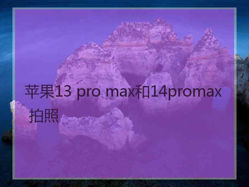 苹果13 pro max和14promax 拍照