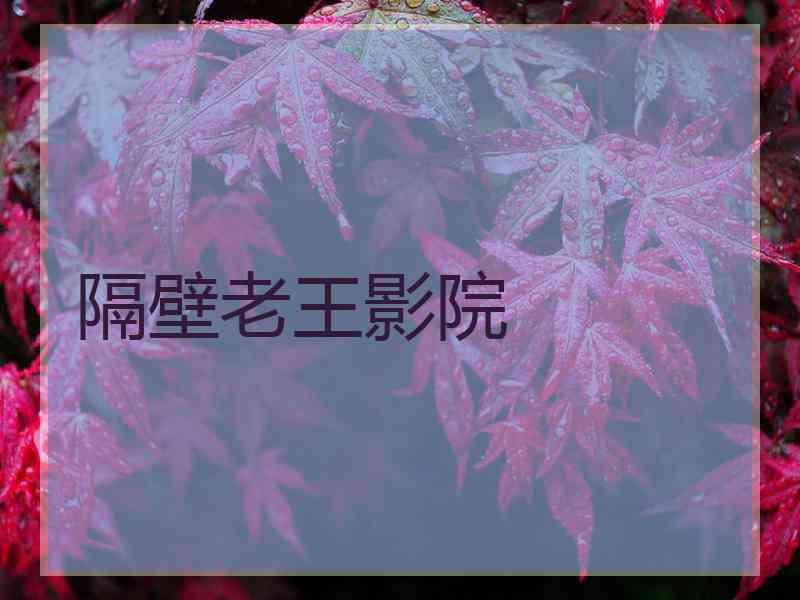 隔壁老王影院