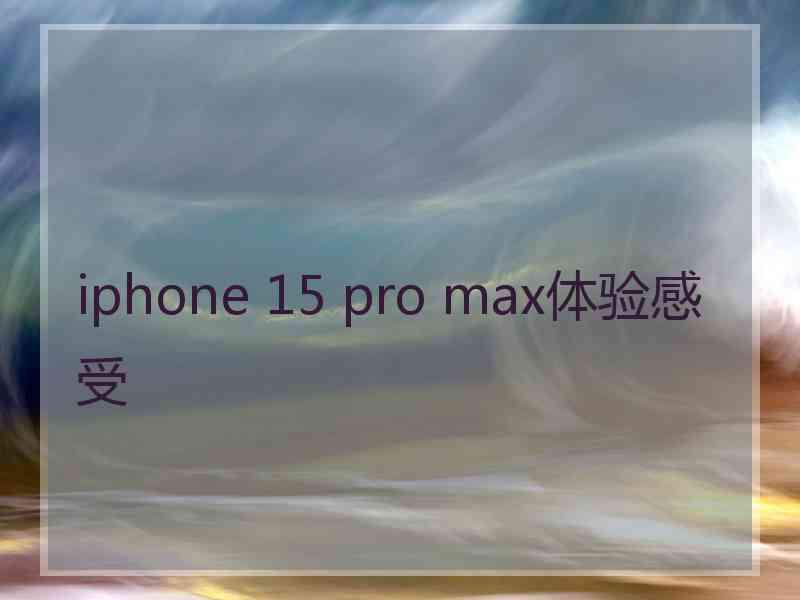 iphone 15 pro max体验感受