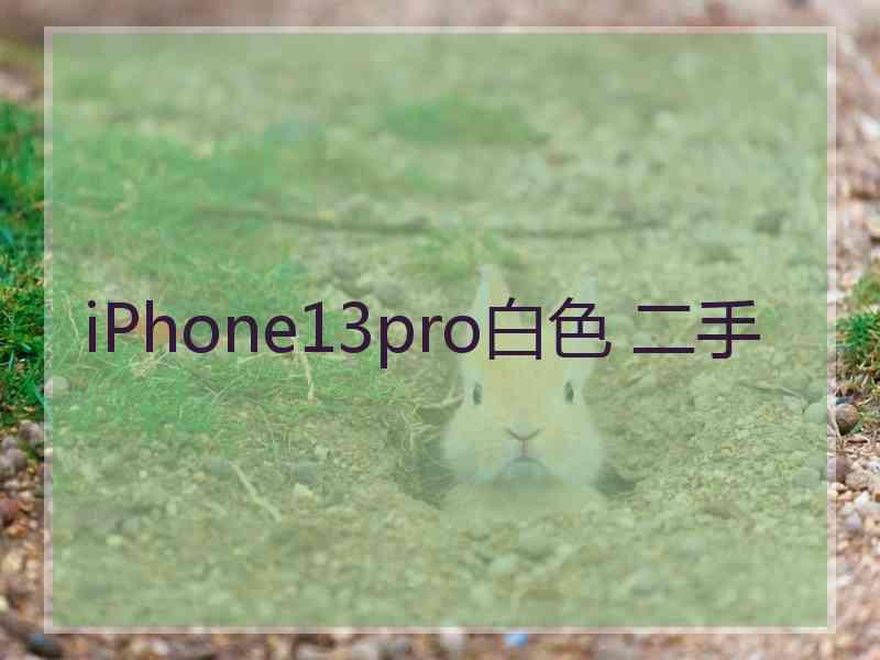 iPhone13pro白色 二手