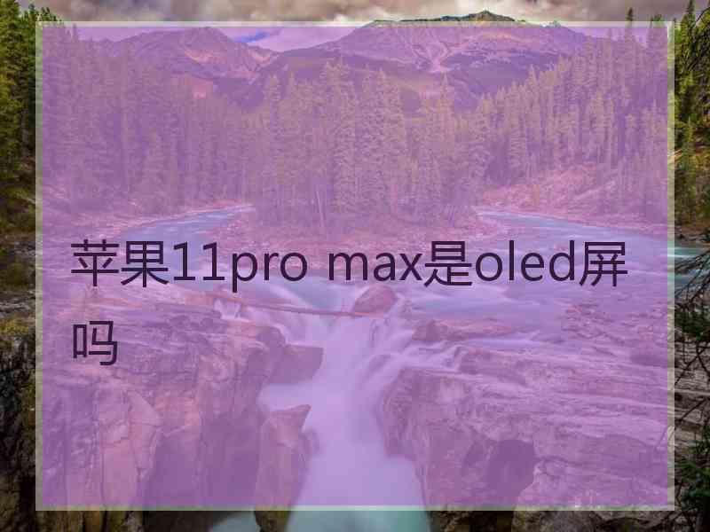 苹果11pro max是oled屏吗