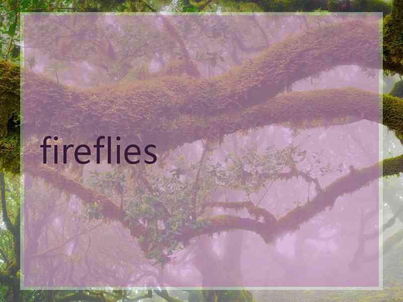 fireflies