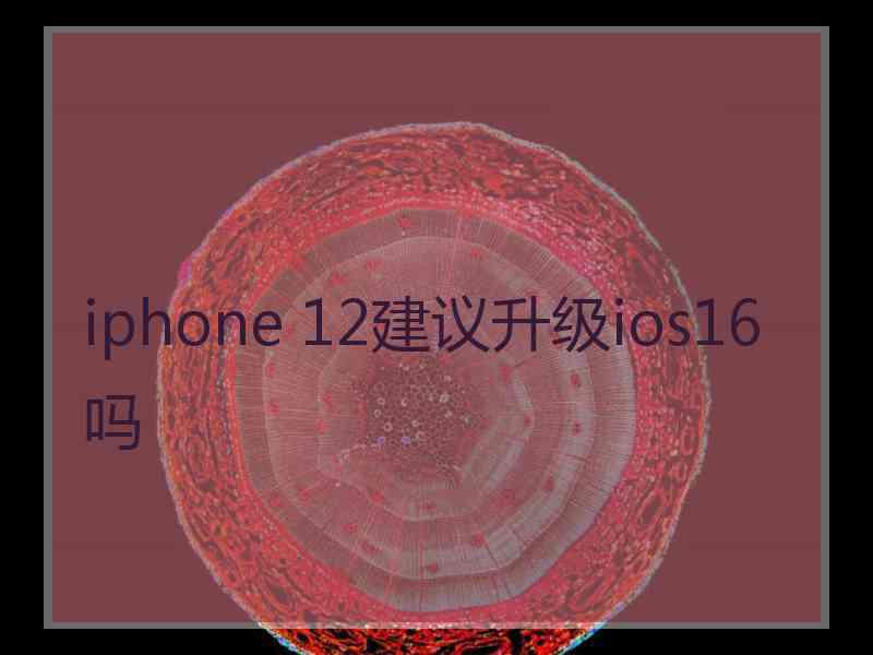 iphone 12建议升级ios16吗