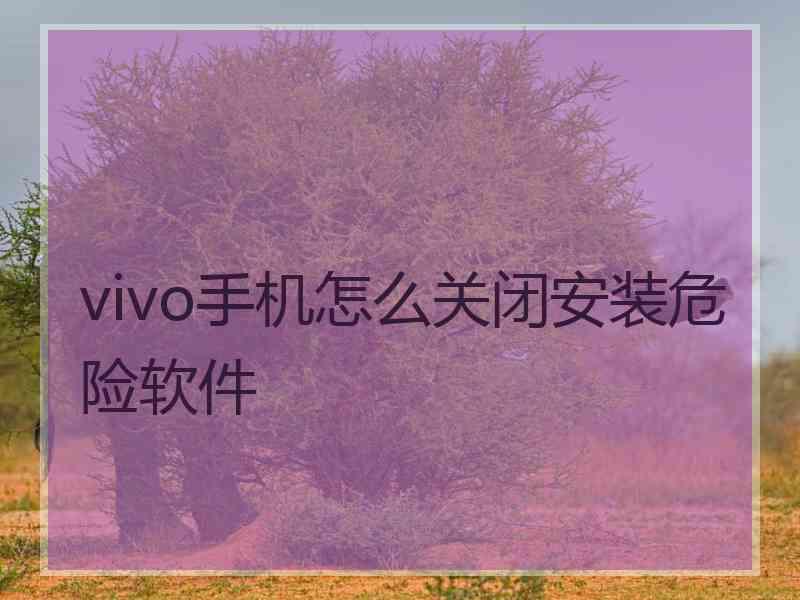 vivo手机怎么关闭安装危险软件