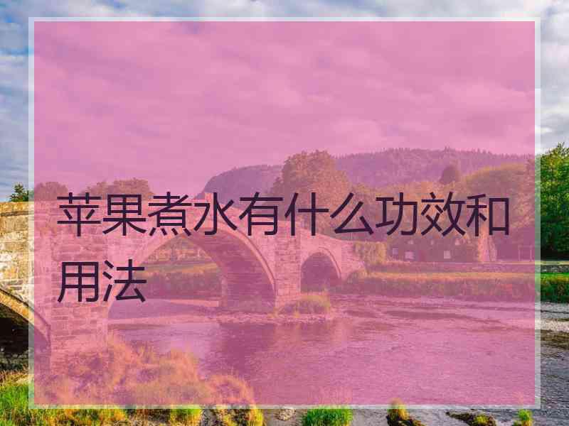 苹果煮水有什么功效和用法