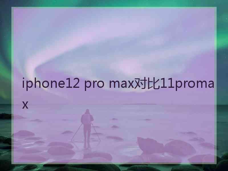 iphone12 pro max对比11promax