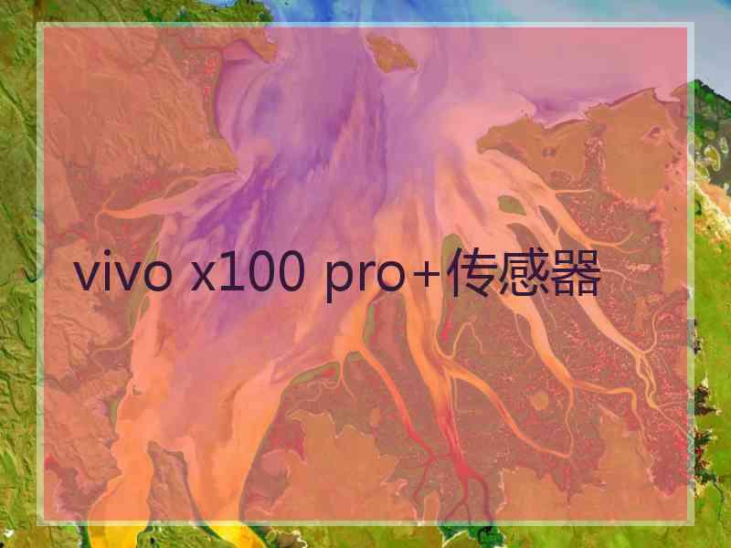 vivo x100 pro+传感器