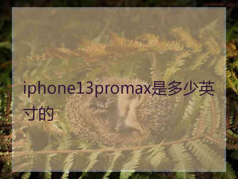 iphone13promax是多少英寸的