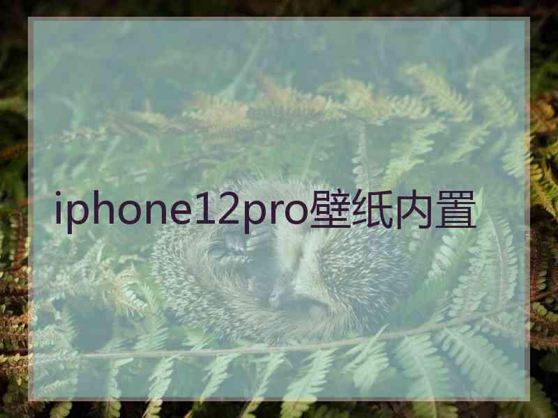 iphone12pro壁纸内置