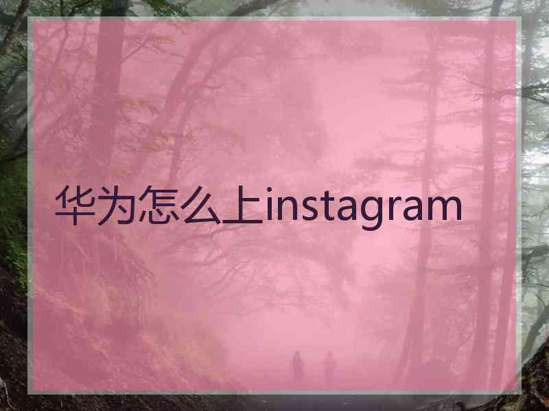 华为怎么上instagram