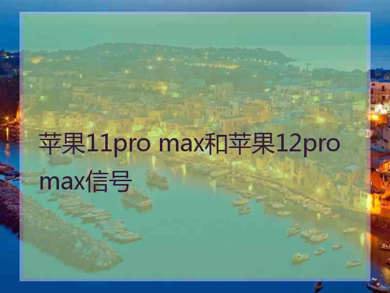 苹果11pro max和苹果12promax信号