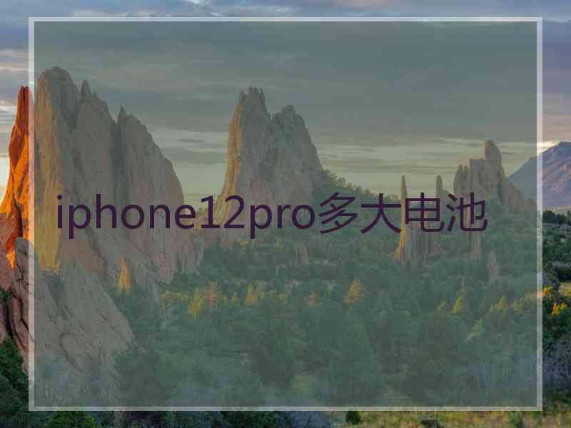 iphone12pro多大电池