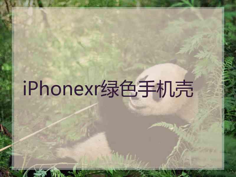 iPhonexr绿色手机壳