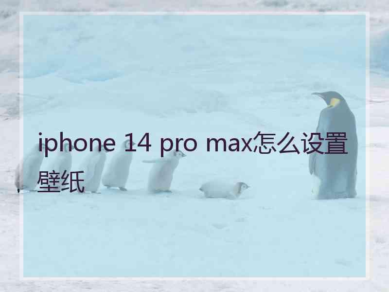 iphone 14 pro max怎么设置壁纸