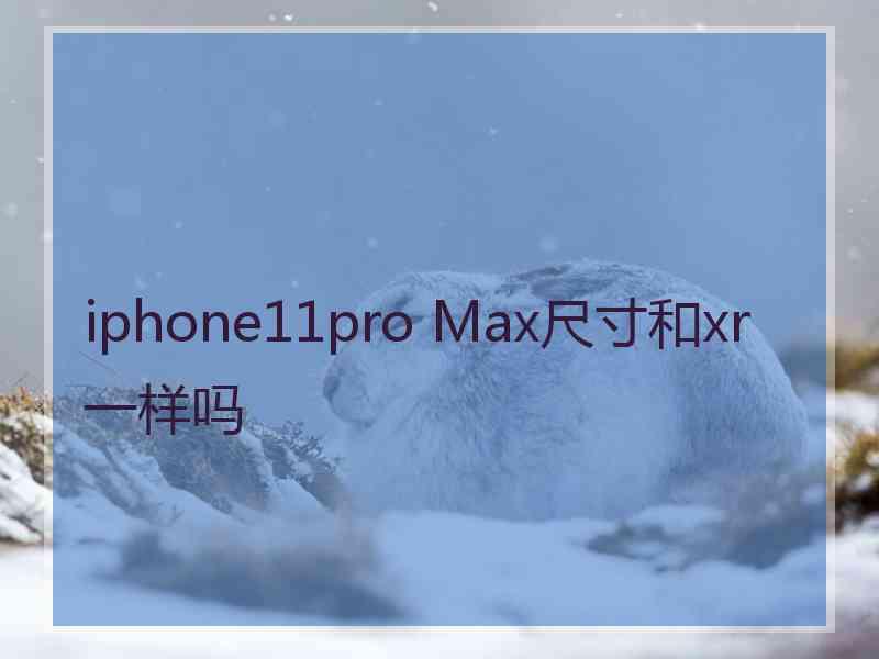 iphone11pro Max尺寸和xr一样吗