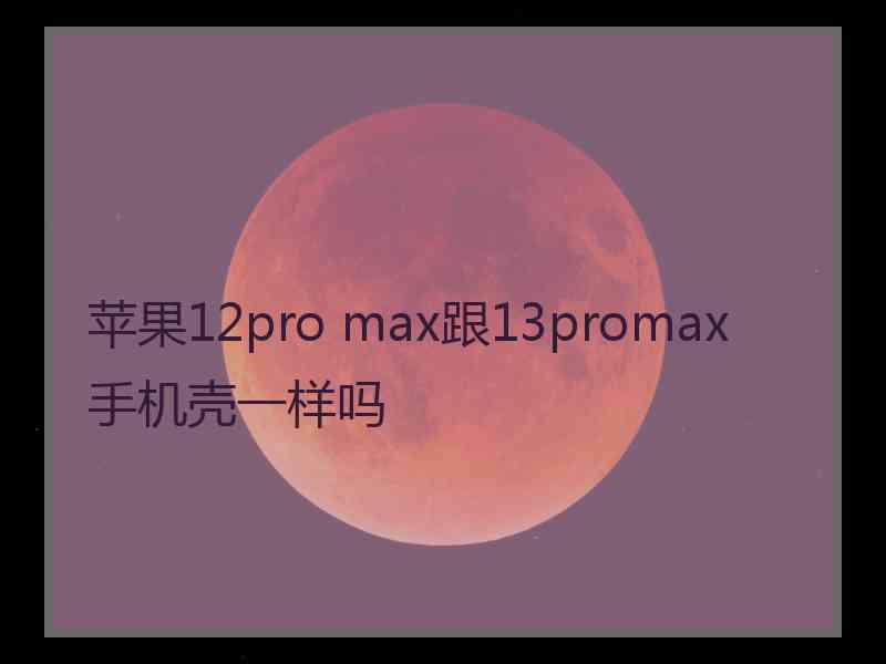 苹果12pro max跟13promax手机壳一样吗