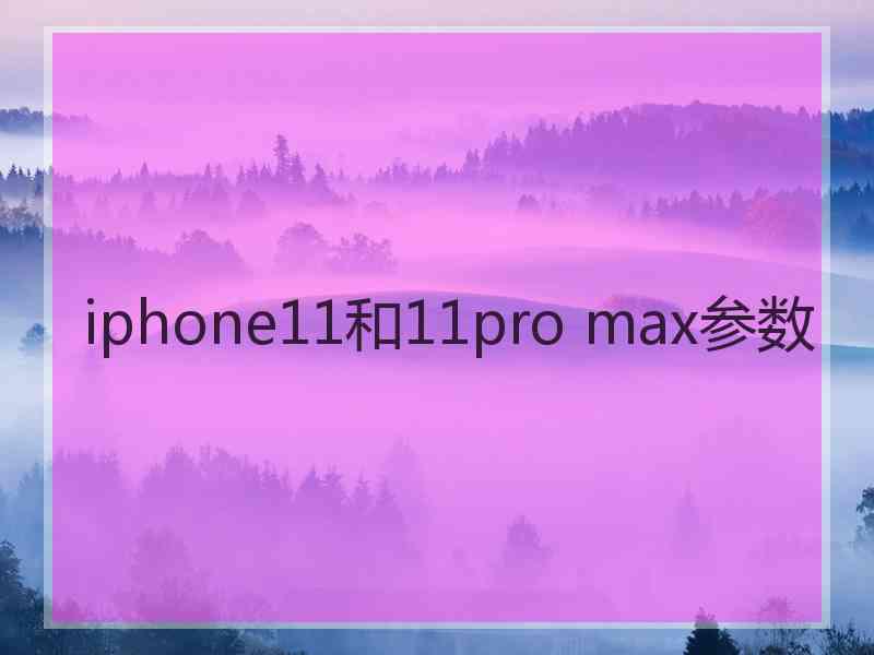 iphone11和11pro max参数