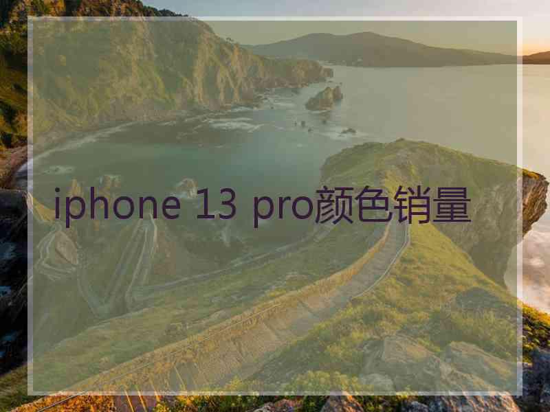 iphone 13 pro颜色销量