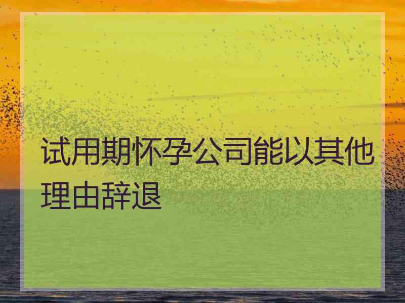 试用期怀孕公司能以其他理由辞退