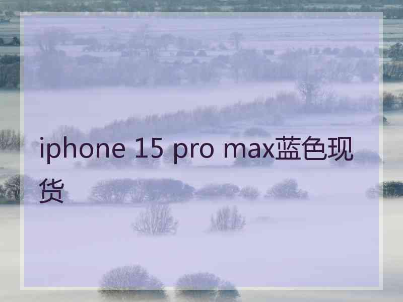 iphone 15 pro max蓝色现货