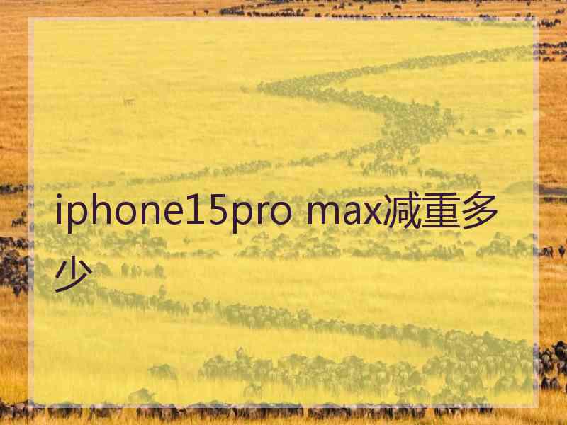 iphone15pro max减重多少